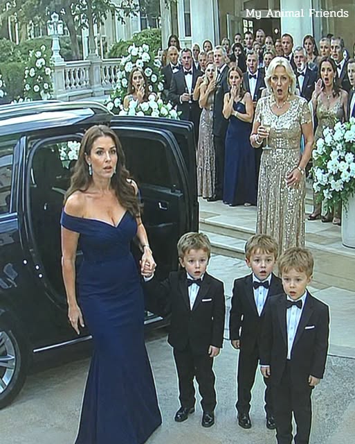 I Took My 5-Year-Old Triplets to My Millionaire Ex-Husband’s Wedding… And The Second His Family Saw Them, The Whole Mansion Went De@d Silent.